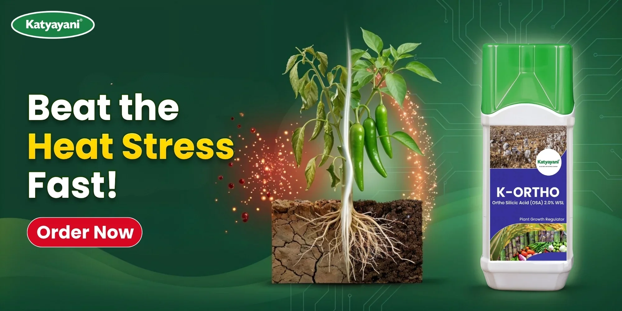 Empowering India's Sustainable Farming Future